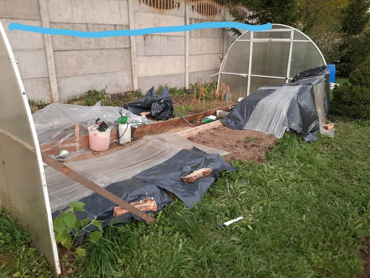 Бедная рассада!