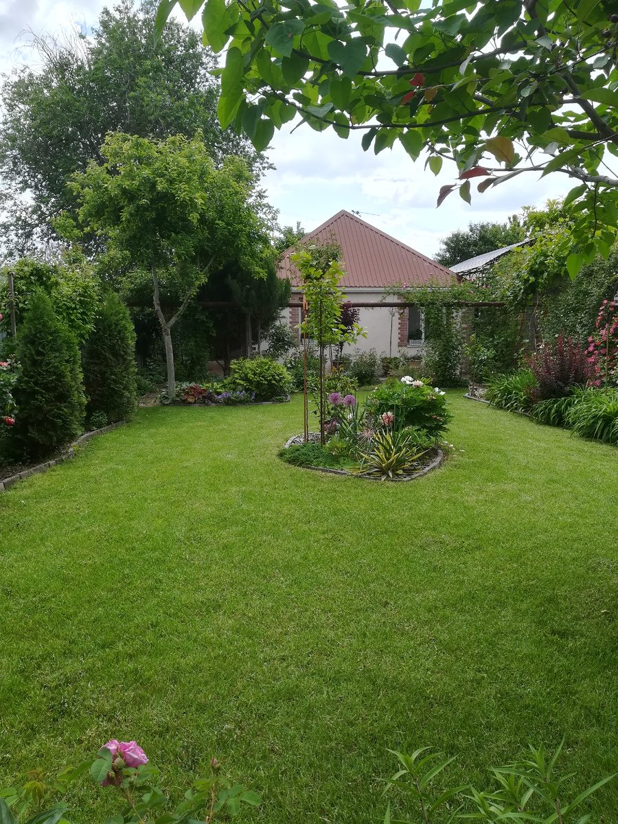 После стрижки-брижки. 