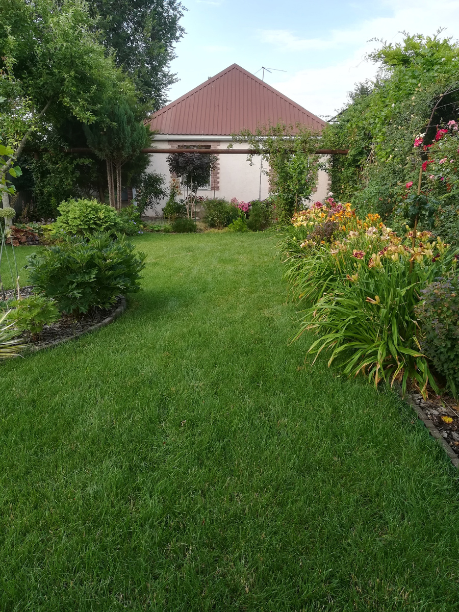 Как и представлялось в горячечных мечтах.