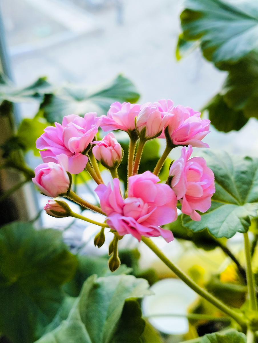 Все фото в статье - мои