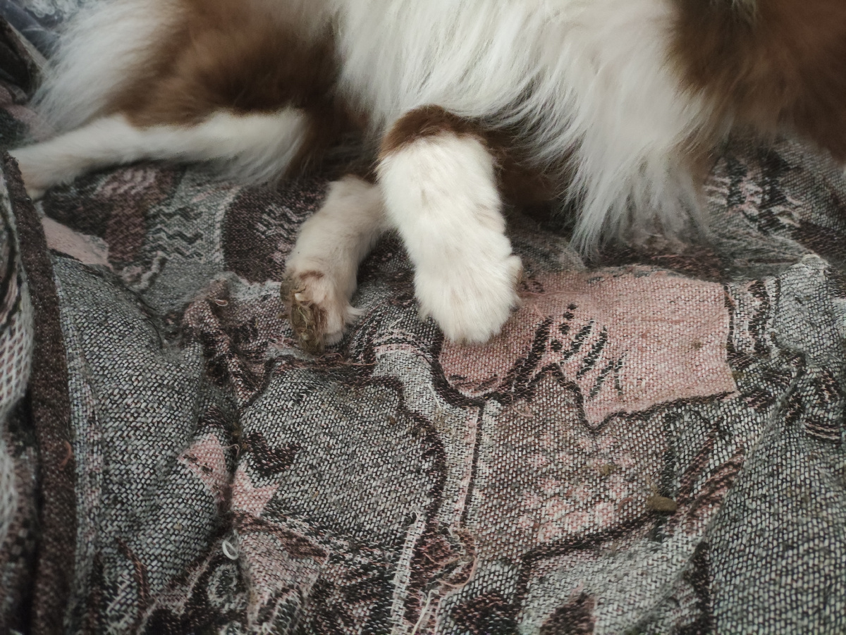 Зато левая, как с модели )))