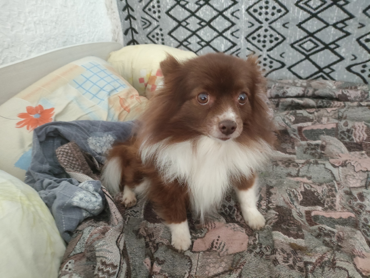 Мама, чего ты меня опять за лапы хватаешь???