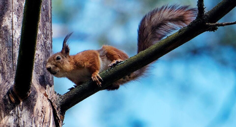    РИА «Новости»