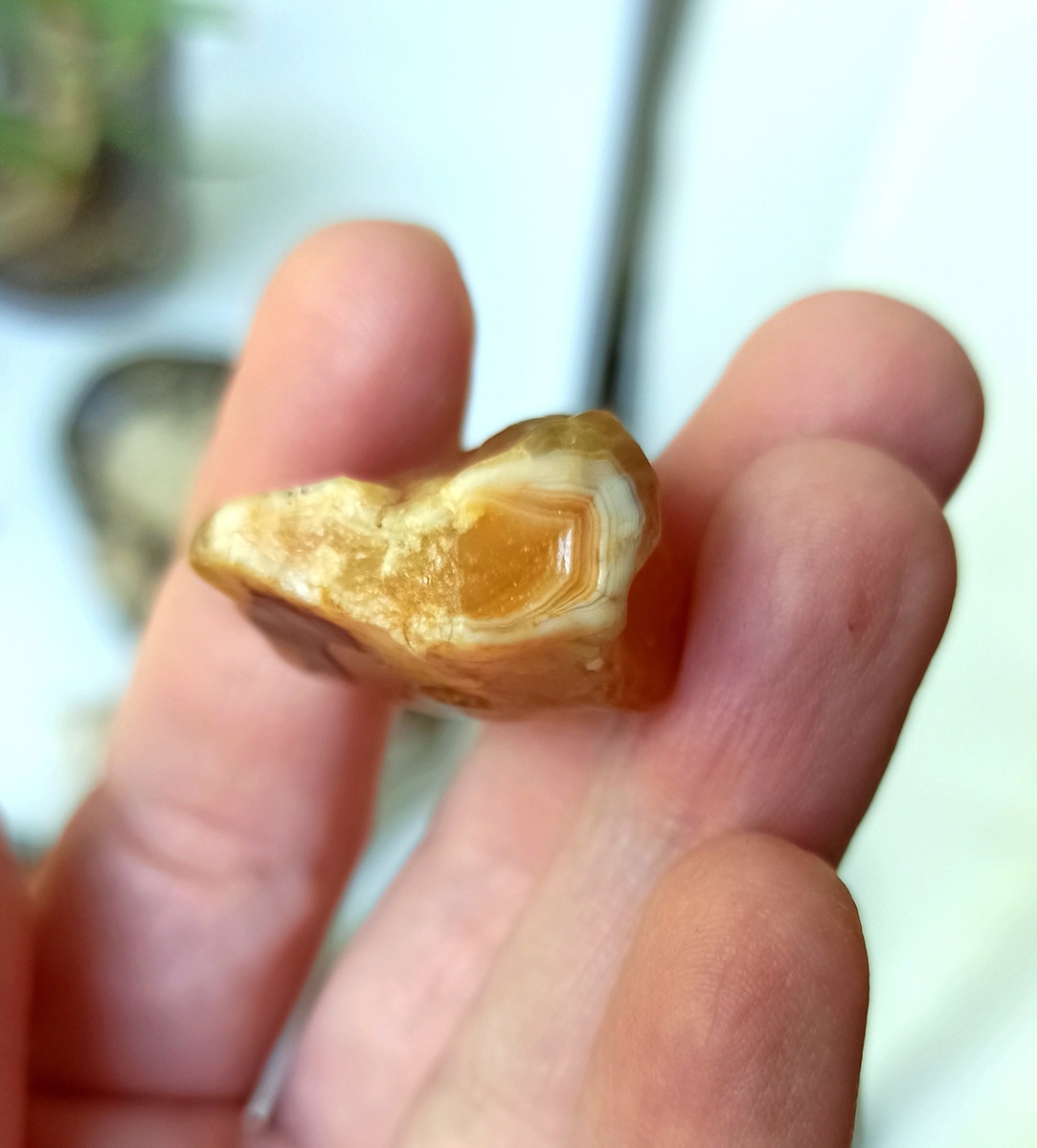 Агат-сердолик. Вот мой самый ценный и красивый халцедон оранжевого цвета (сердолик) из подмосковной дачной кучи гравия