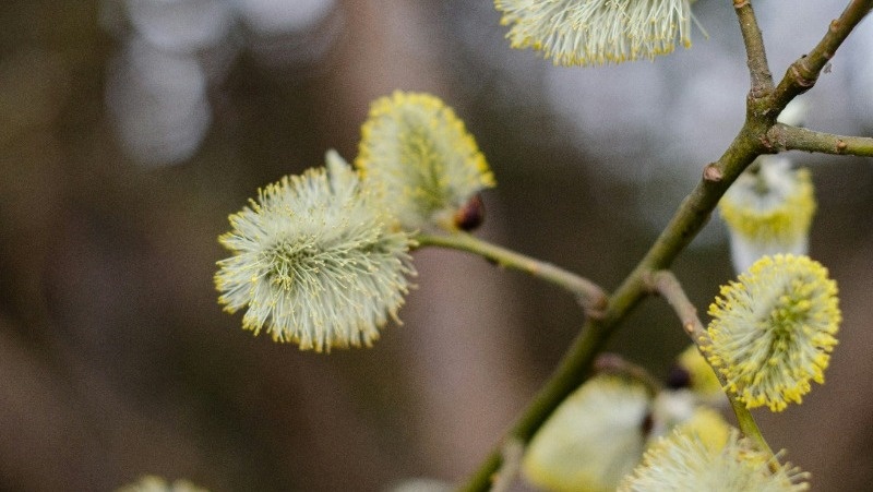 Фото: @indi_grunge / unsplash.com