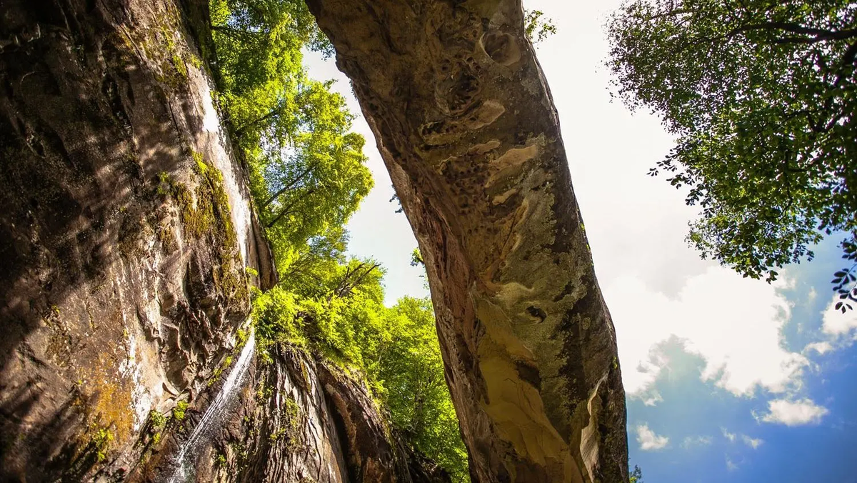 Фото: vk.com/club225245330