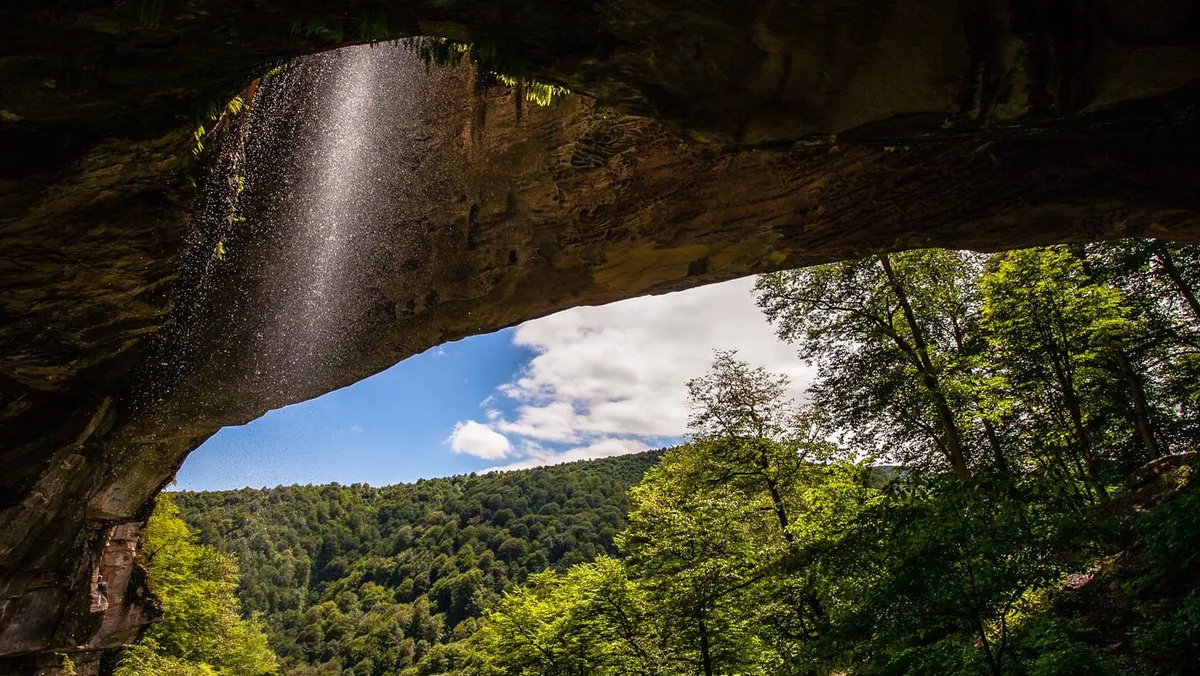 Фото: vk.com/club225245330