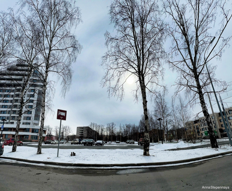    Фотограф в Петрозаводске напомнила о величии природы в День космонавтикиАрина Степенная