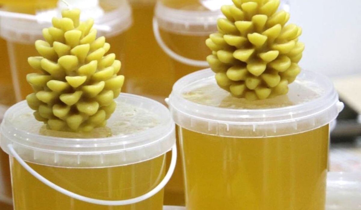     Башкирский мед. Источник: rg.ru Автор фото: t.me/radiyhabirov