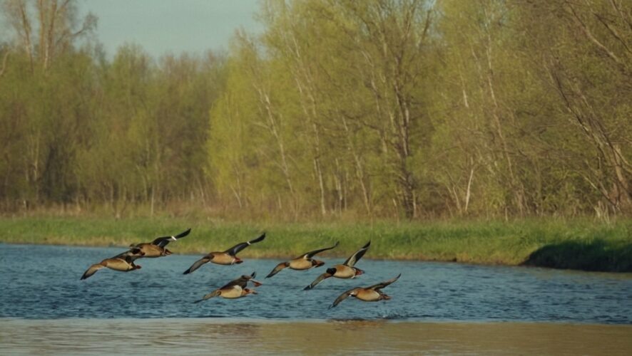    Фото: создано ИИ
