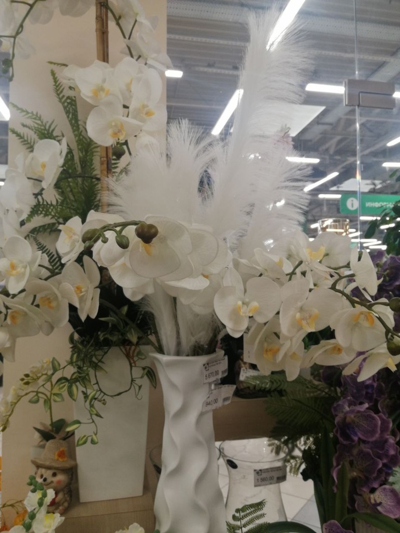 Букет орхидей с перьями. оригинально.