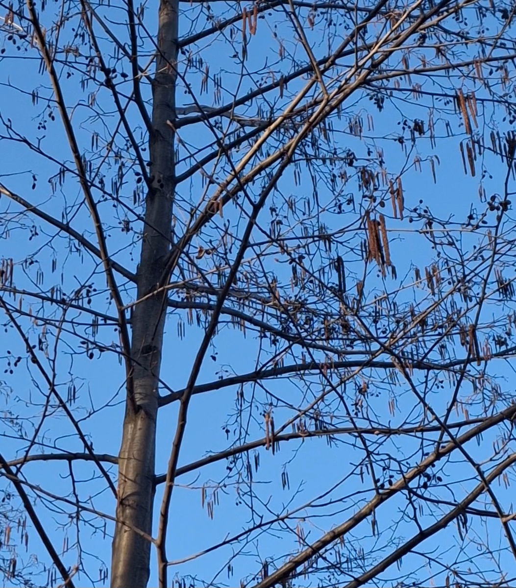 Фотоколлаж - собственность автора канала