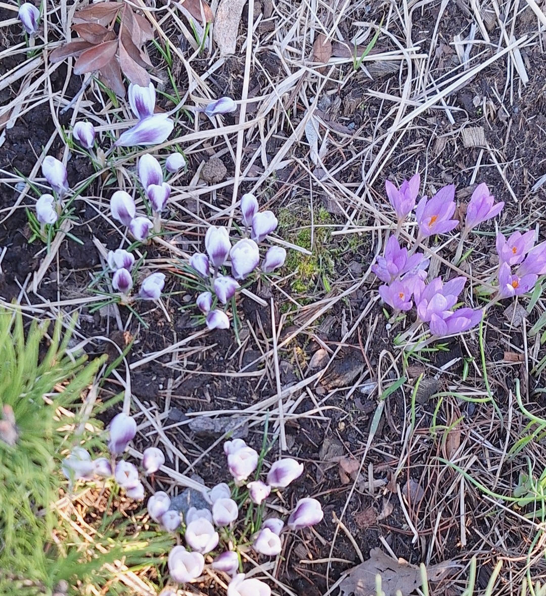 Фотоколлаж - собственность автора канала.