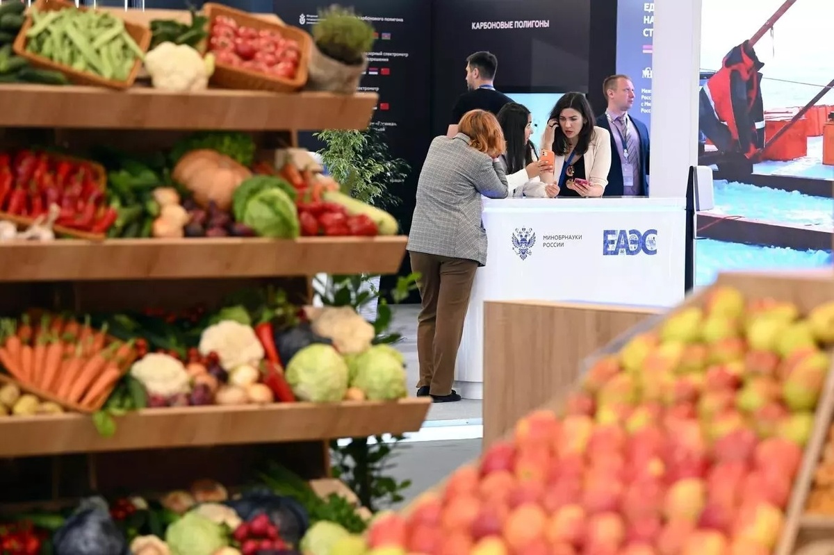 © Sputnik / Алексей Майшев