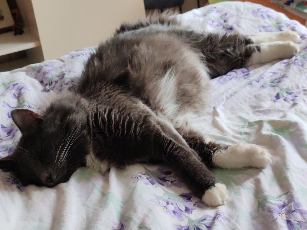 Фото автора канала. 