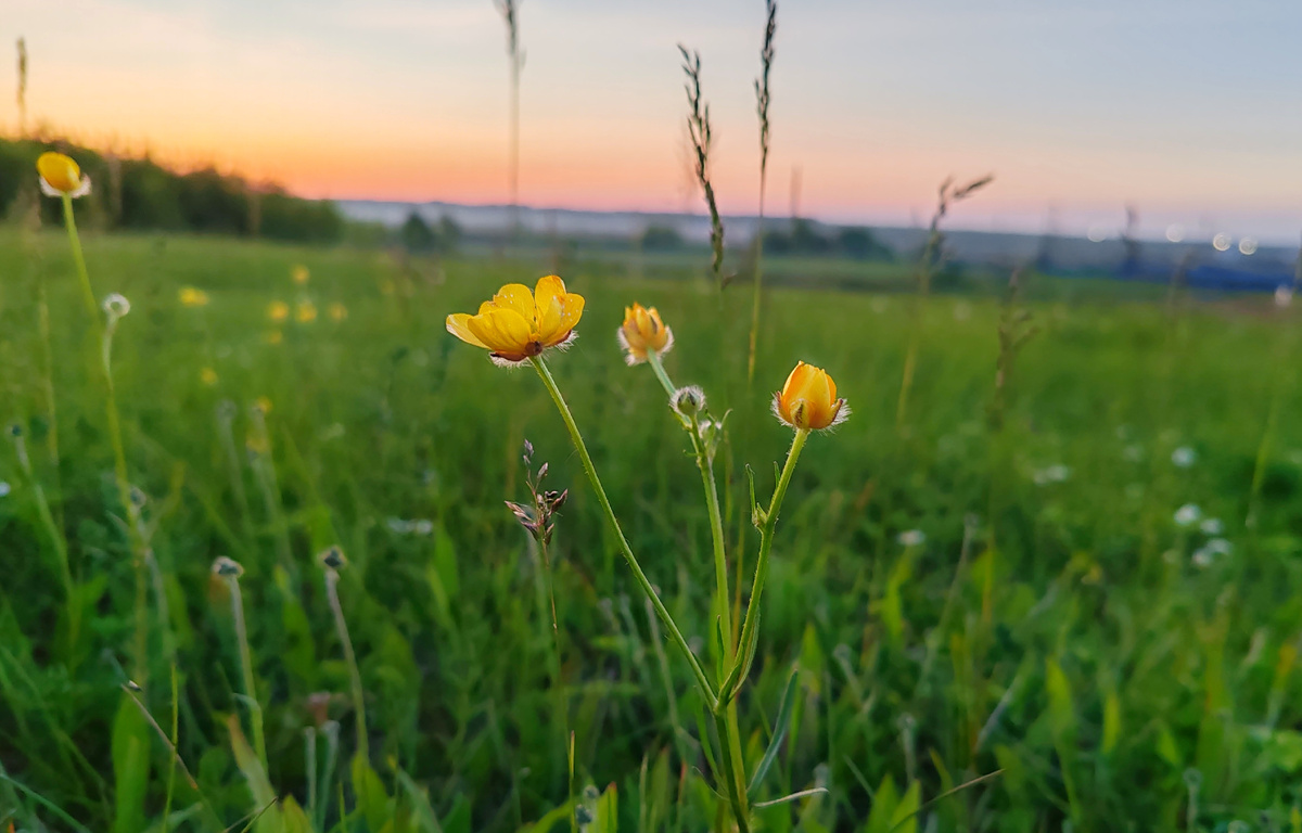 Фото автора канала. 