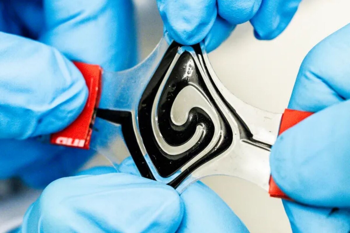 Фото: Thor Balkhed  📷
