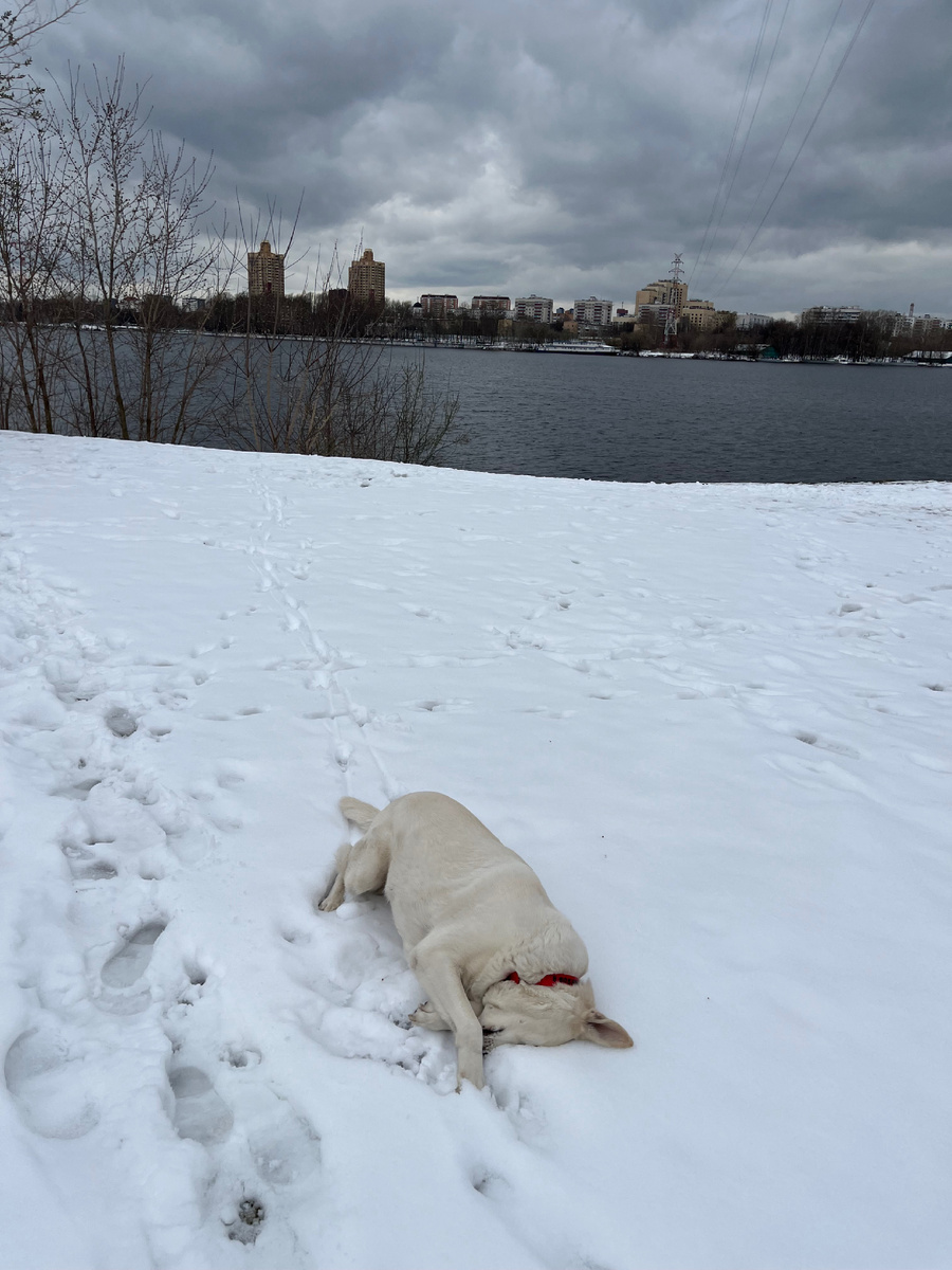 Химкинское водохранилище 11 апреля