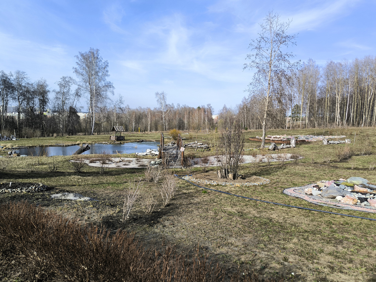 Парк за ботсадом. Справа внизу на снимке уже цветочки раскрылись