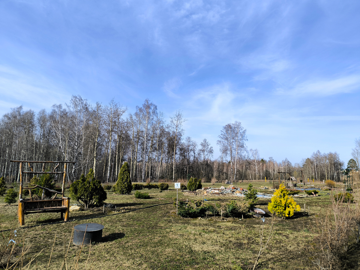 Ухоженная территория. Дорожек для прогулок не хватает