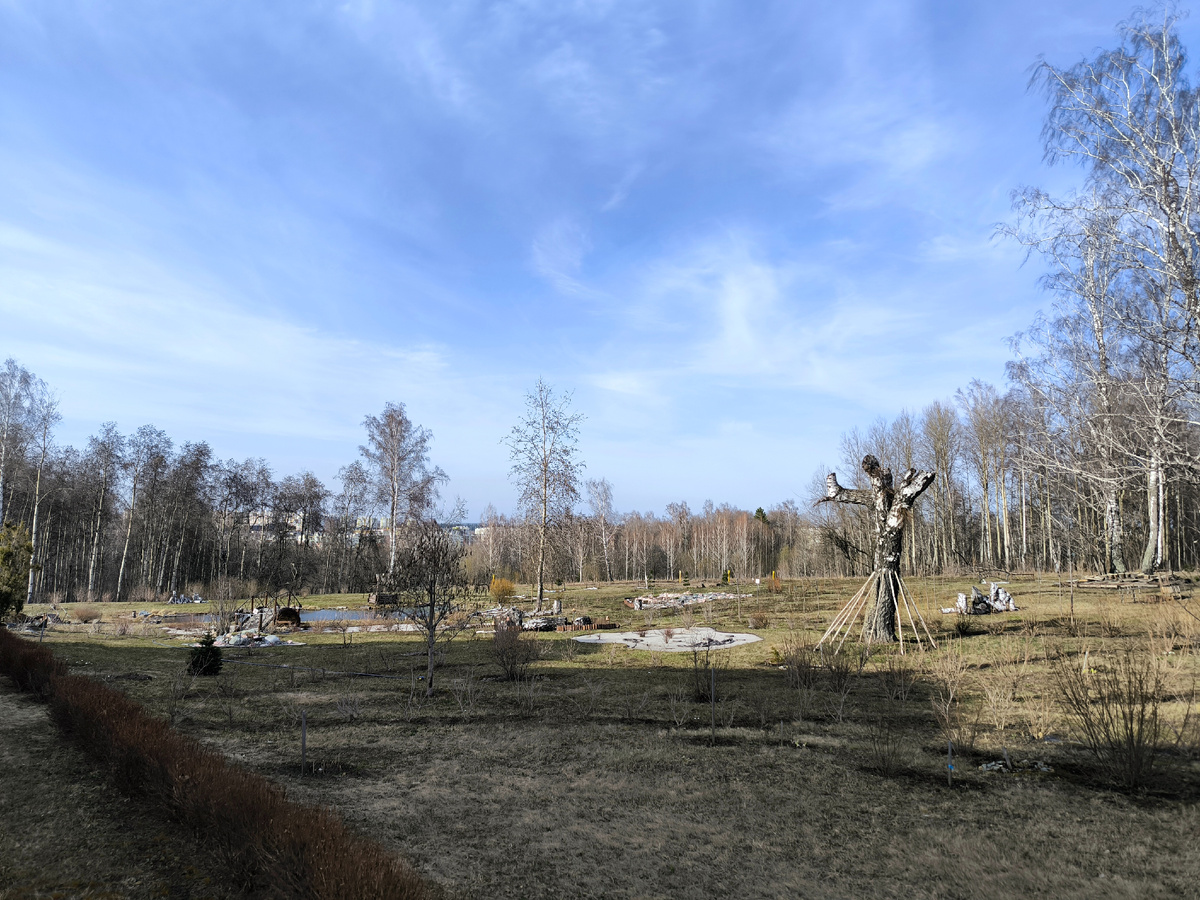 На заднем плане видна Лесная Поляна