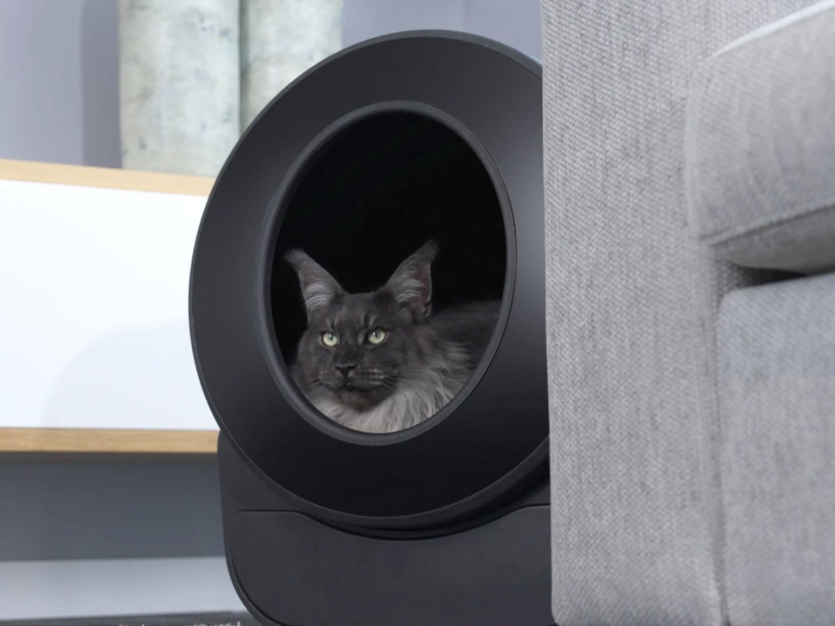    Кошачий биотуалет Petlux V3 требует чистки раз в 7–10 дней