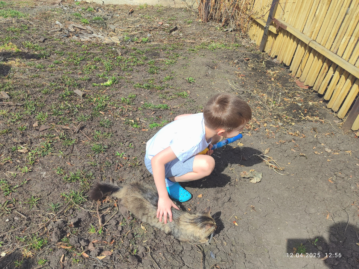 Вадюха и кот Мася