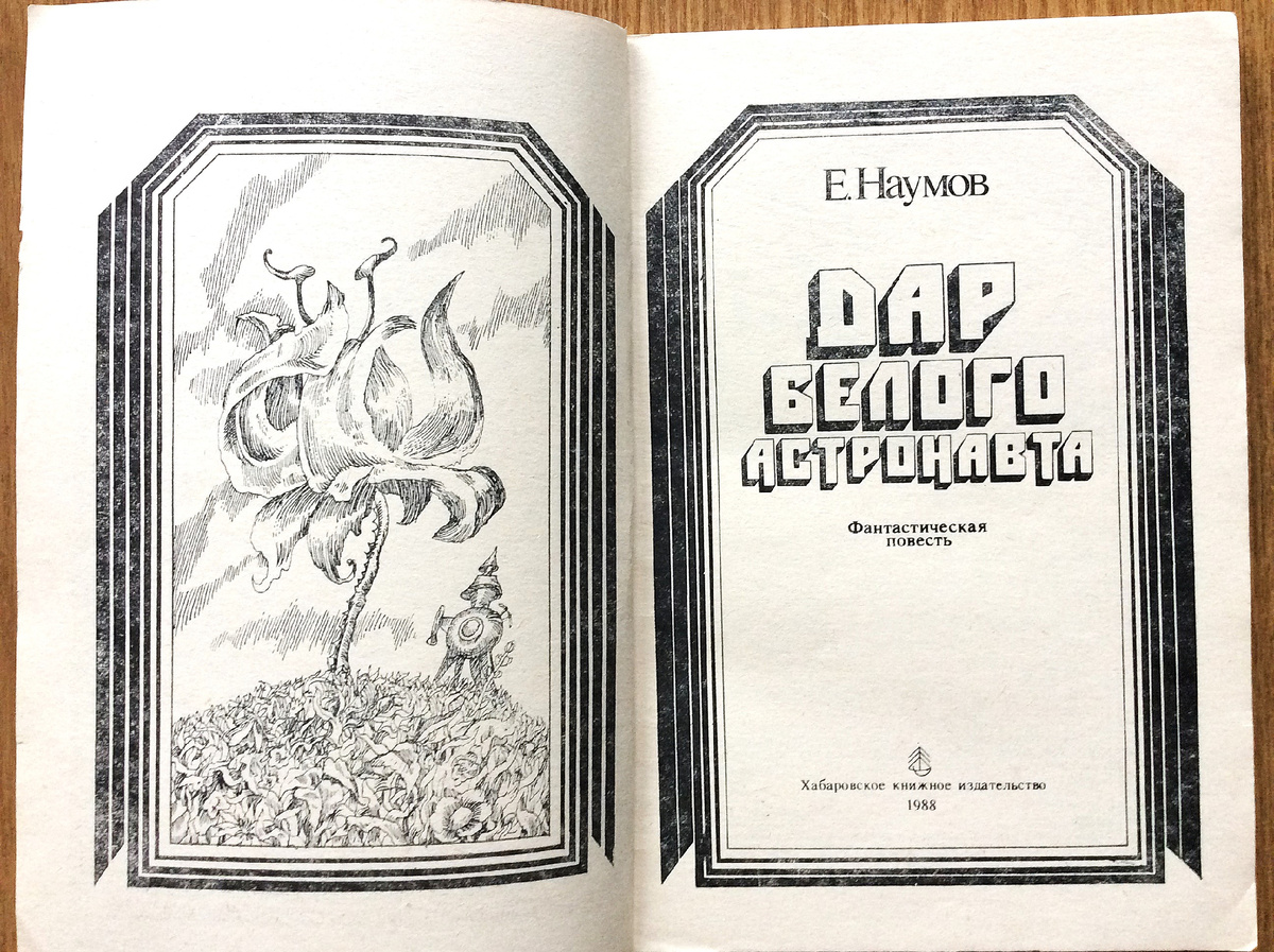 Начальный разворот книги.