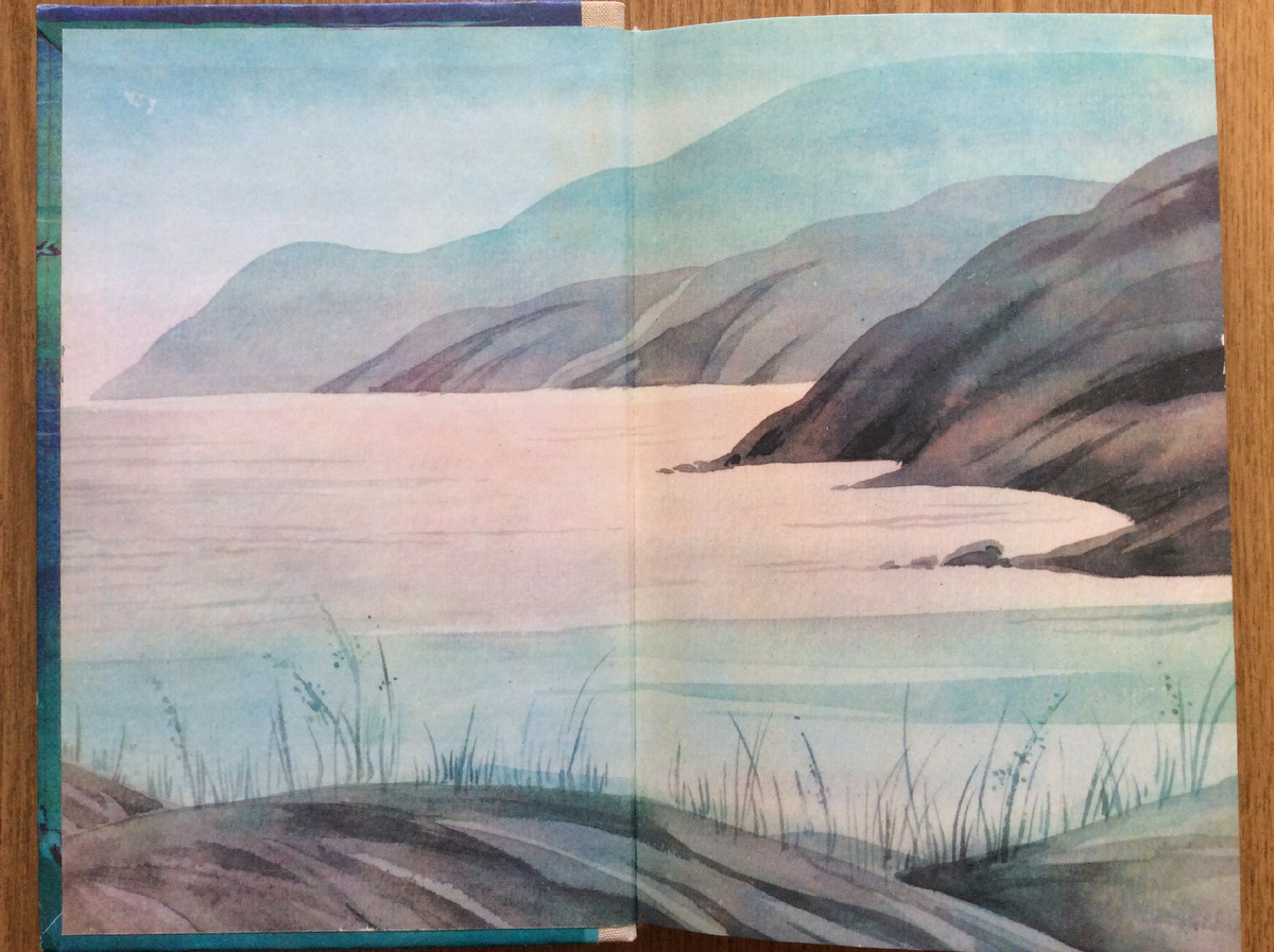 Форзац книги.