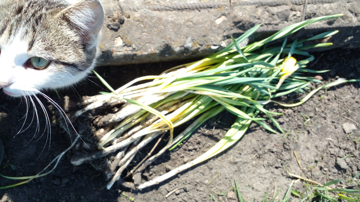 Радуемся жизни