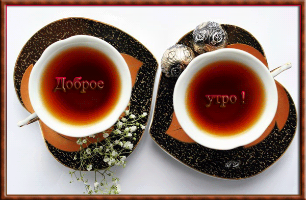 Соловьи живут во многих регионах, но почему именно Курский стал символом болтливого, неугомонного человека