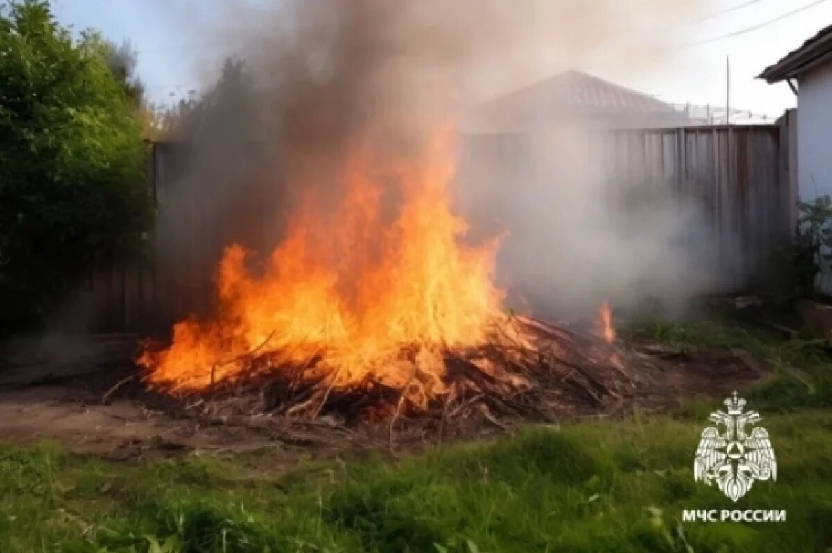    В Новосибирской области нашли 67 термических точек у населённых пунктов