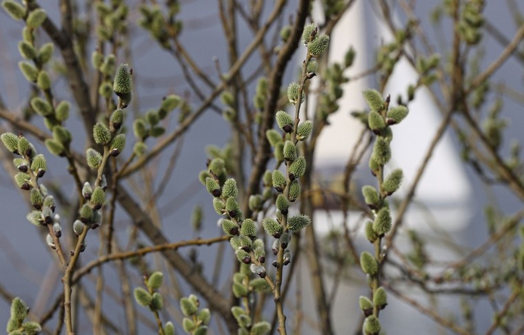    Сергей Булкин/NEWS.ru