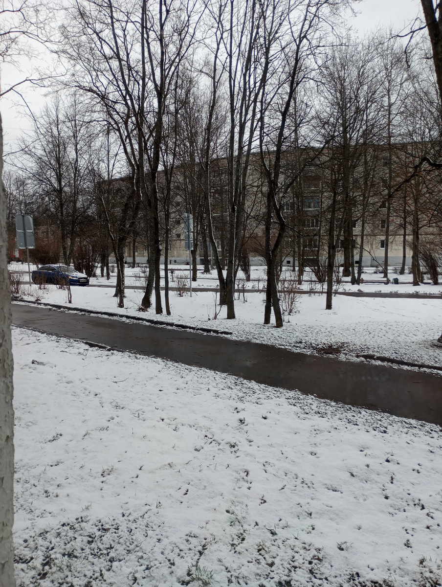 Фото автора. 