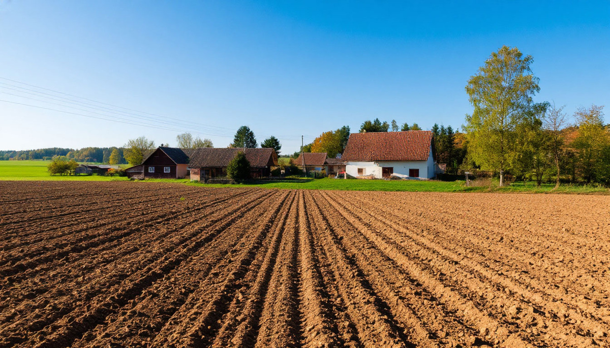 Картинка создана ИИ.