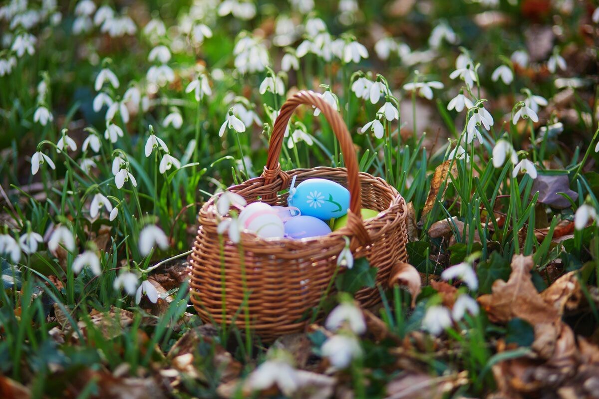    Фото: Ekaterina Pokrovsky / Shutterstock.com