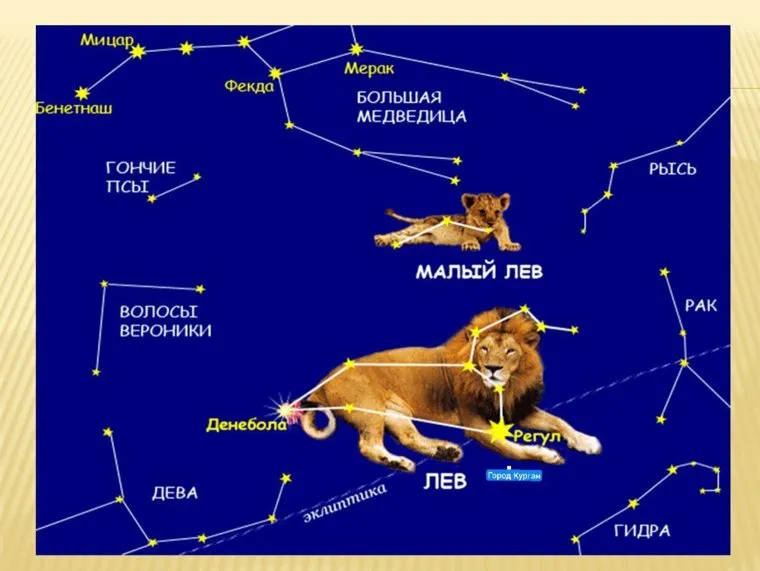 везда «Город Курган» находится в созвездии льва
Фото: предоставила Ирэна Тетеревникова