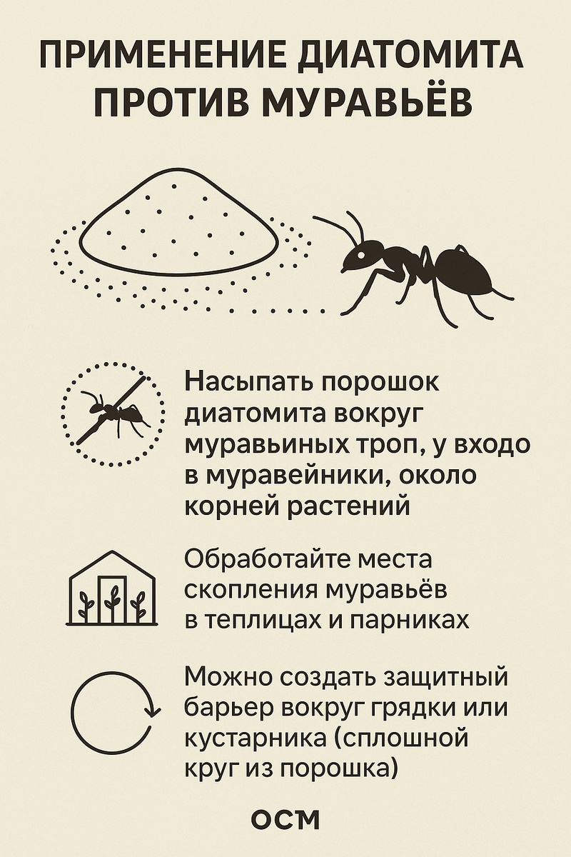 Фото: как применять средство от муравьев на основе диатомита