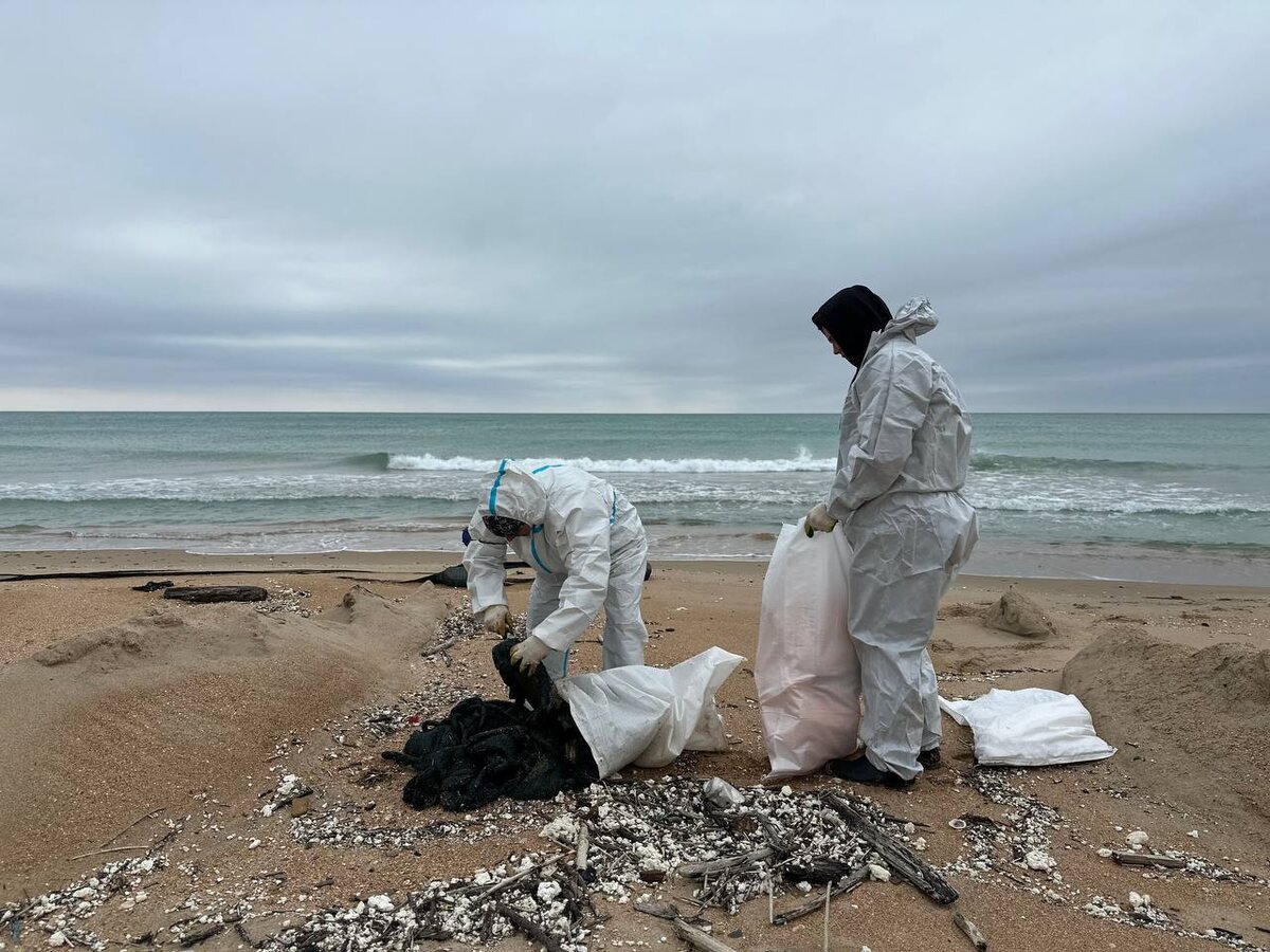    Фото: Оперштаб Кубани