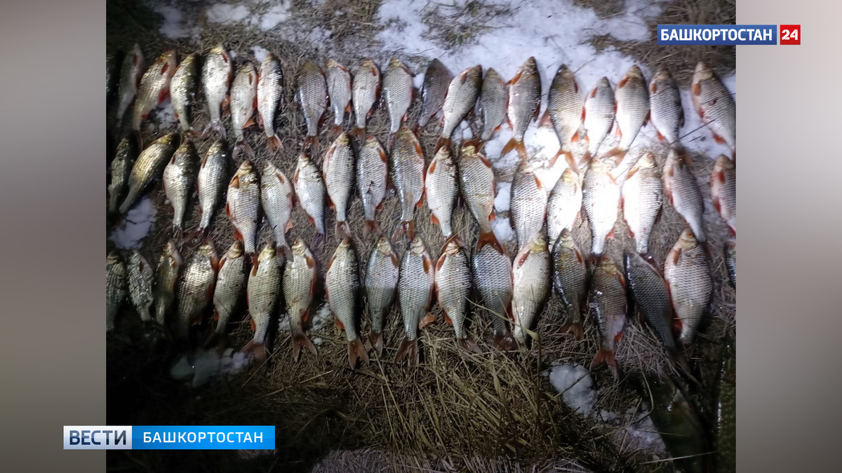    В Башкортостане у браконьеров изъяли сети и улов