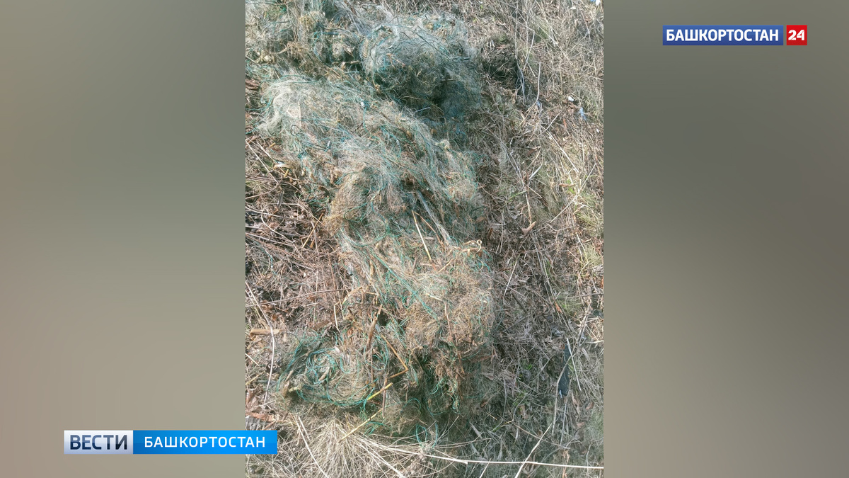    В Башкортостане у браконьеров изъяли сети и улов