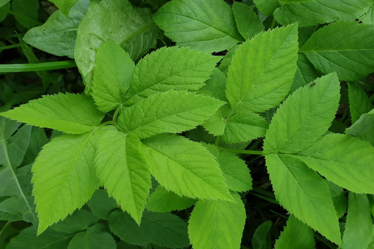 Источник фото: teka-retail.ru