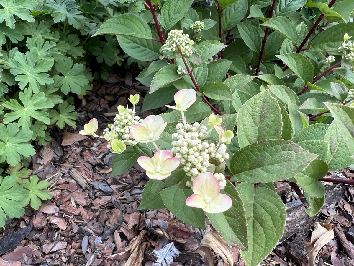 Фото автора канала Дом с кипарисами