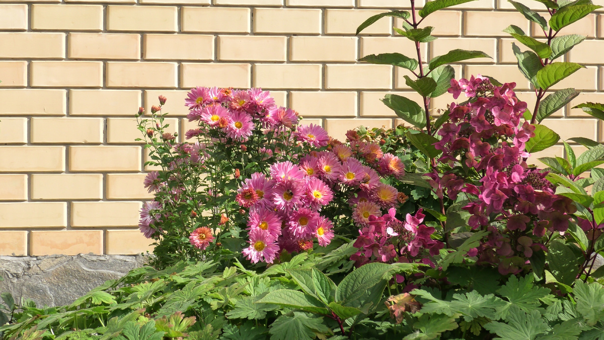 Фото автора канала Дом с кипарисами