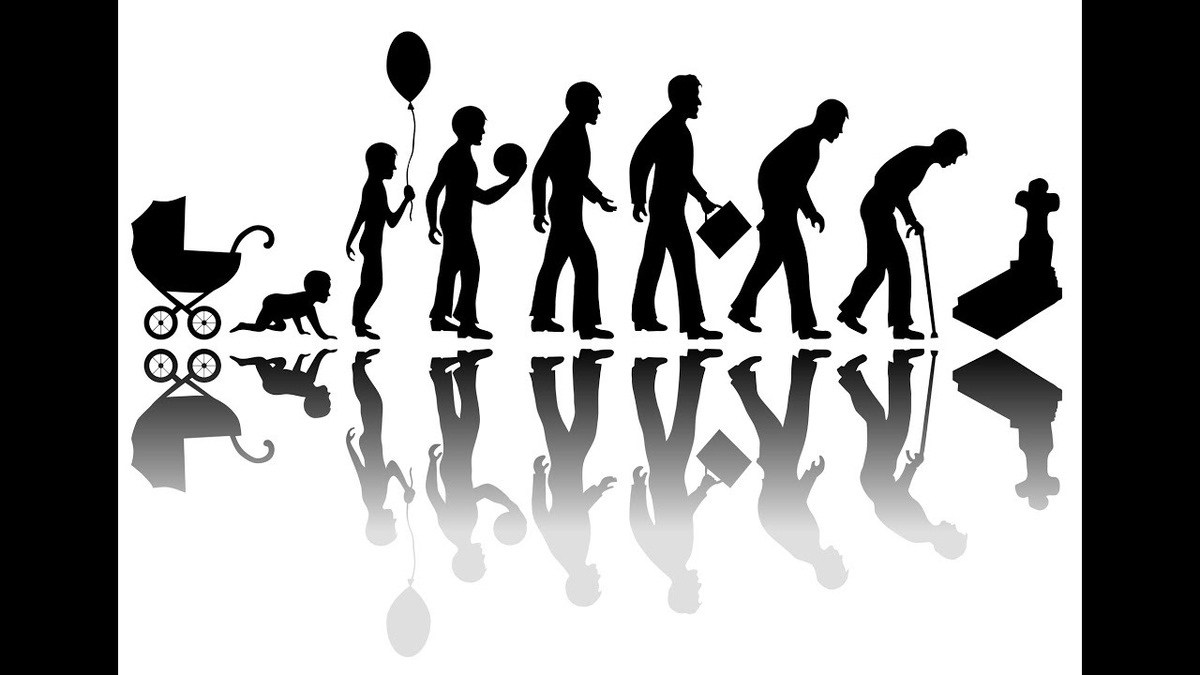 Изображение взято из открытых источников