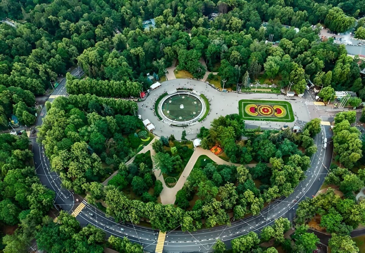 Сокольники. Фото: smartcart.megabonus.com