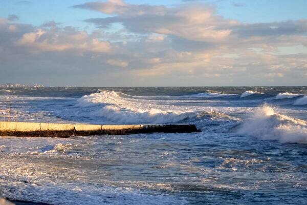   Фото: пресс-служба администрации Сочи