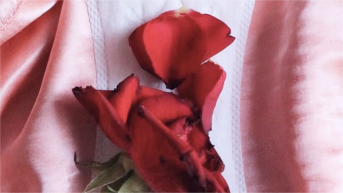 Фото @cecile hoodie