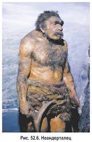 Неандерталец 