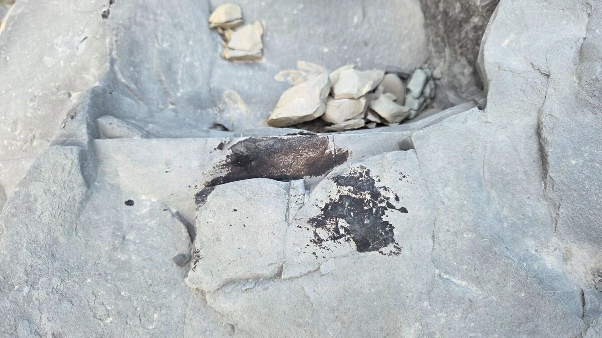     Автор: KubanPress